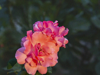 Similar image 21286656