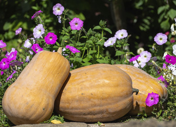 Similar image 21286657