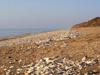 Similar image 21286659