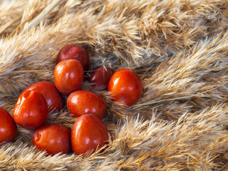 Similar image 21286660