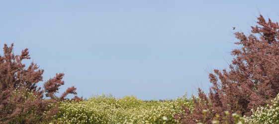 Similar image 21286665