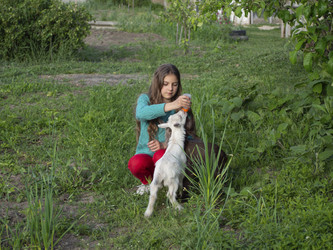 Similar image 21286666