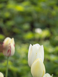 Similar image 21286667