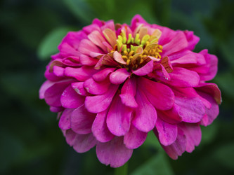 Similar image 21286670