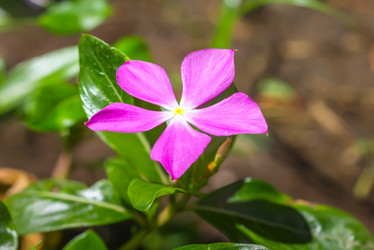 Similar image 21286671