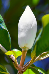 Similar image 21286672