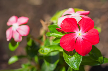 Similar image 21286673