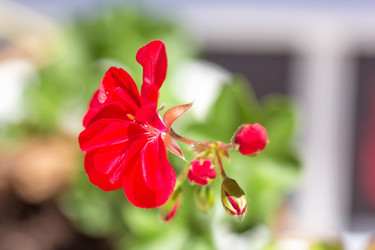 Similar image 21286674