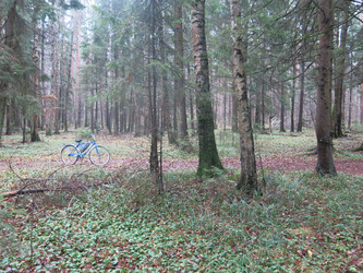 Similar image 21286675