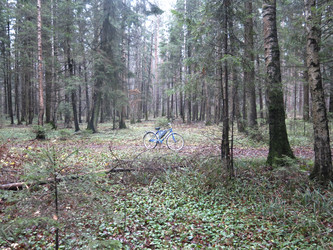 Similar image 21286676