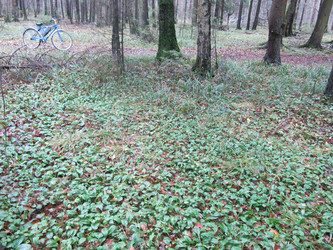 Similar image 21286678