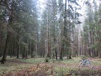 Similar image 21286679