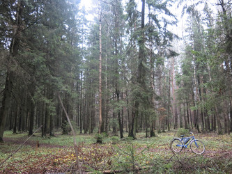 Similar image 21286680