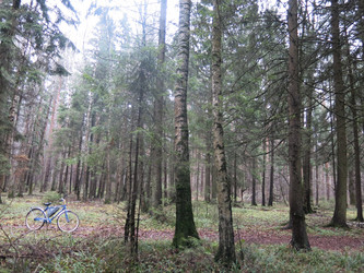 Similar image 21286683