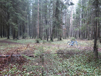 Similar image 21286688