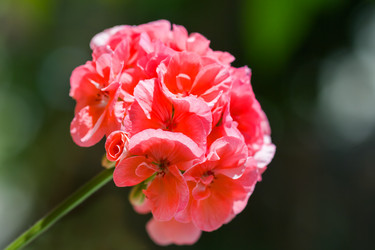 Similar image 21286689