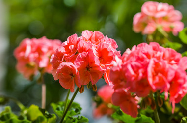 Similar image 21286691