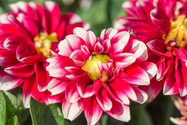 Similar image 21286692