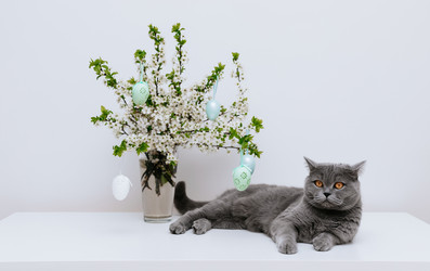 Similar image 21286919