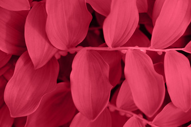 Similar image 21286927