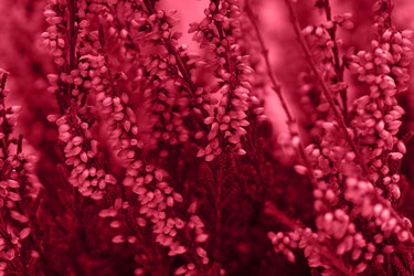 Similar image 21286928