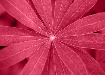 Similar image 21287058