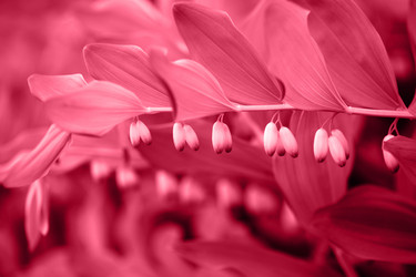 Similar image 21287061