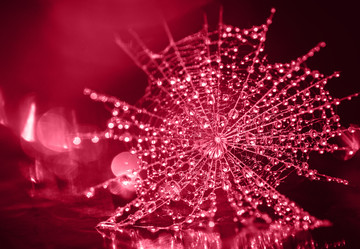 Similar image 21287062