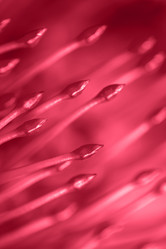 Similar image 21287064