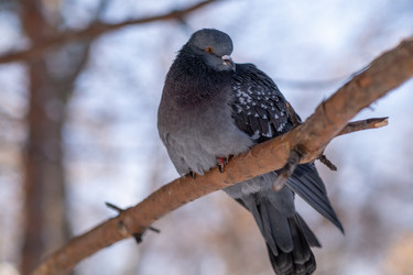 Similar image 21287686