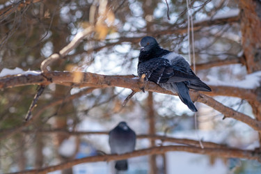 Similar image 21287689