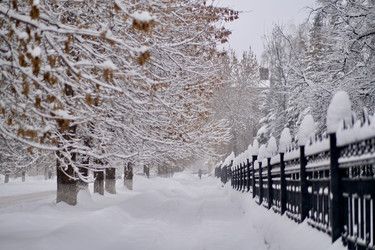 Similar image 21287690