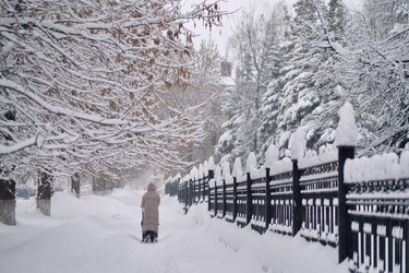 Similar image 21287694