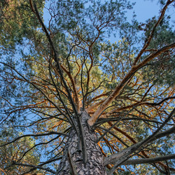 Similar image 21287698