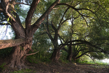 Similar image 21287700