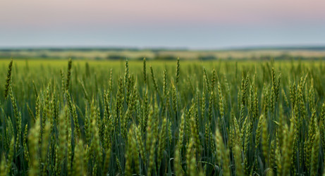 Similar image 21287709