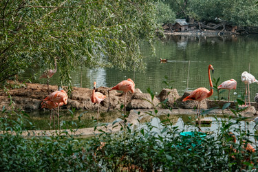 Similar image 21287710