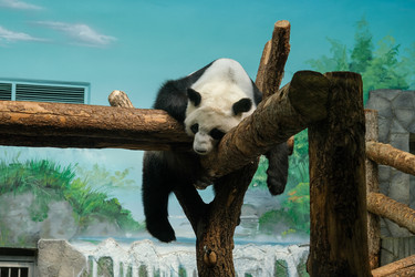 Similar image 21287712