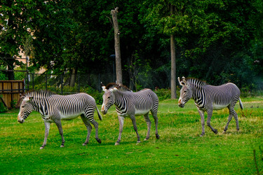 Similar image 21287715