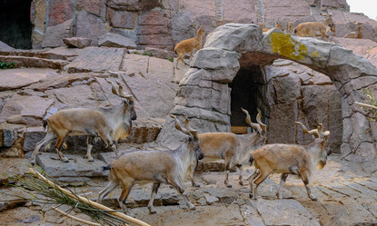 Similar image 21287716