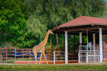 Similar image 21287717