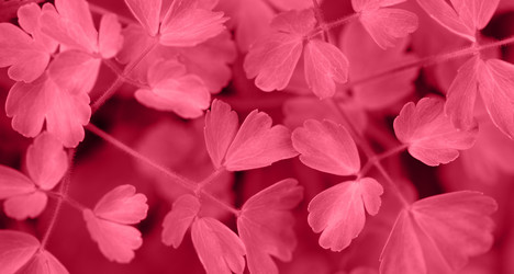 Similar image 21286934