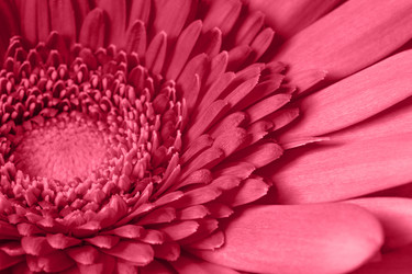 Similar image 21286935