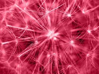 Similar image 21286937