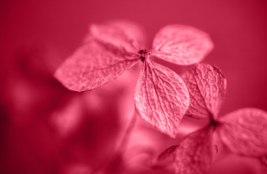 Similar image 21286938