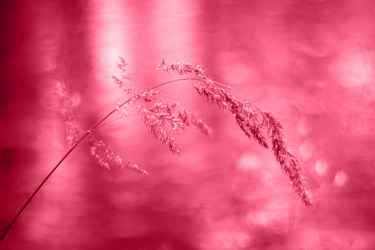 Similar image 21286940