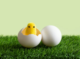 Similar image 21286943