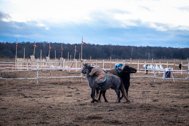 Similar image 21287723