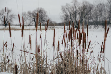 Similar image 21287729