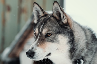 Similar image 21287730